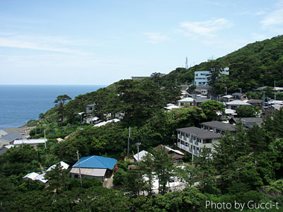 御蔵島写真