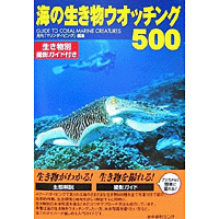 海の生物ウオッチング500